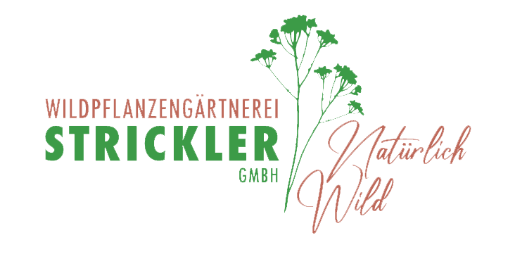 Wildpflanzengärtnerei Strickler